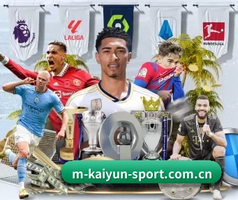 m-kaiyun-sport.com.cn APP