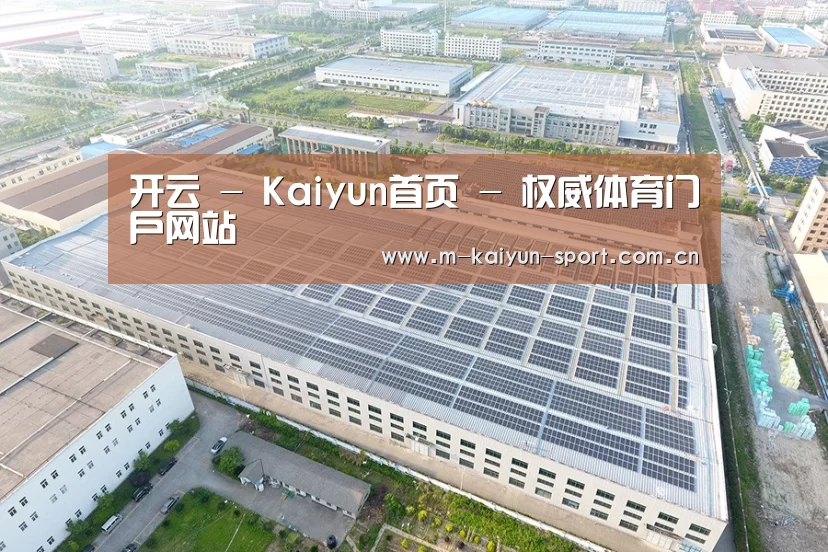 案例展示三