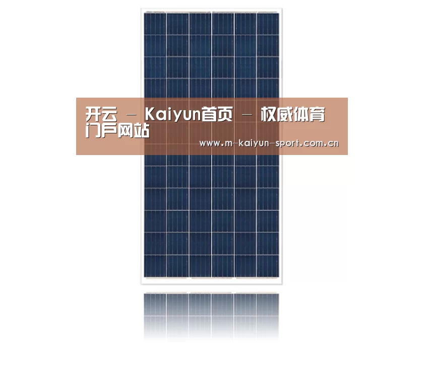 产品名称一