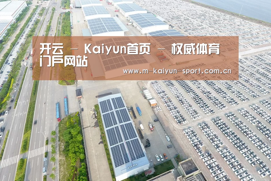 案例展示二
