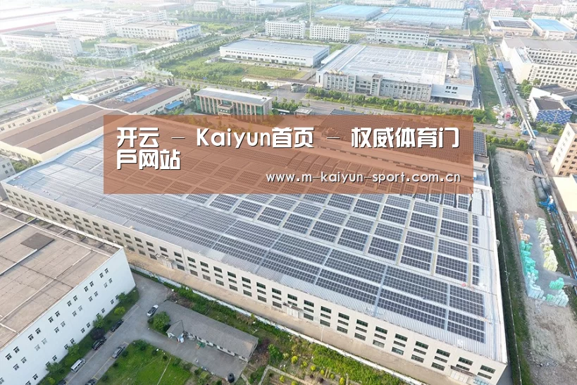 案例展示四